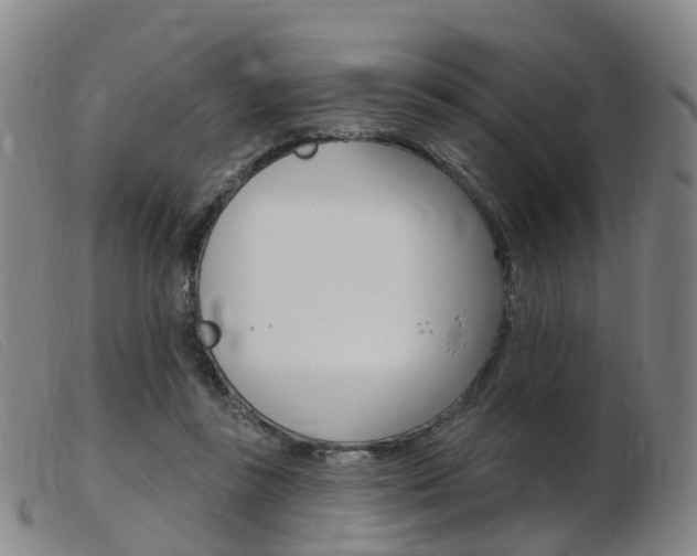 X0000103950355200809191216