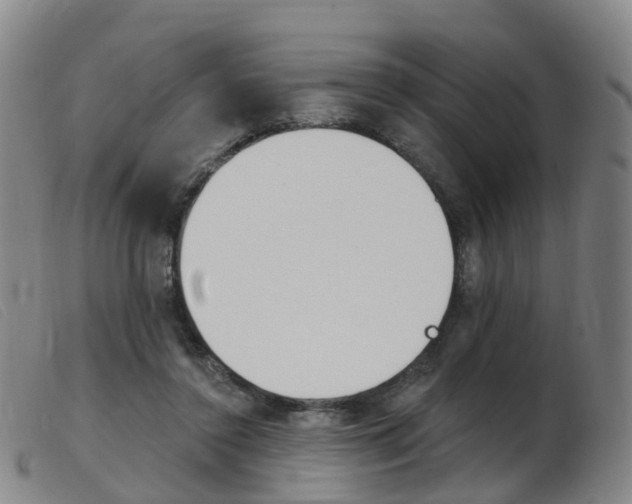 X0000103950356200809191216