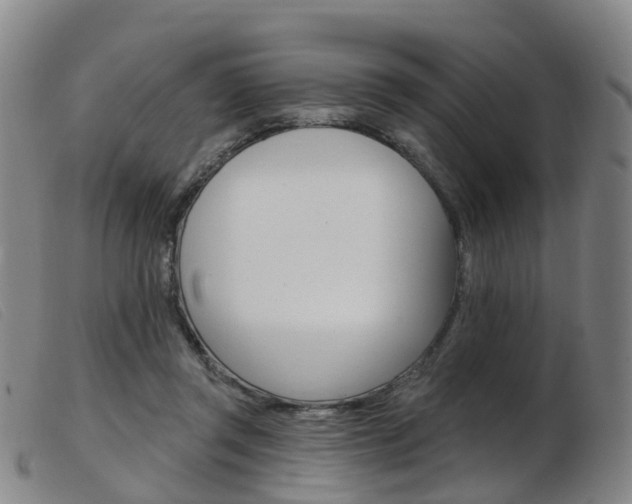 X0000103950357200809191216