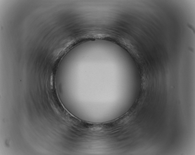 X0000103950358200809191216