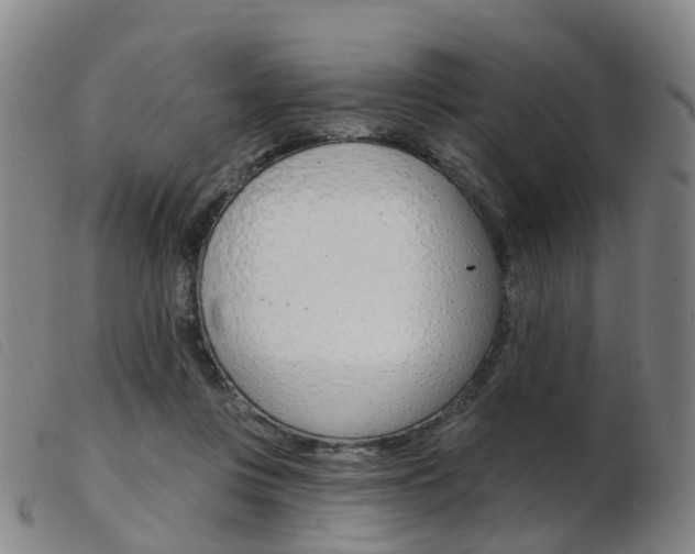 X0000103950359200809191216