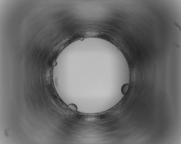 X0000103950360200809191216