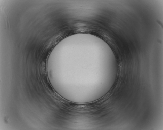 X0000103950361200809191216