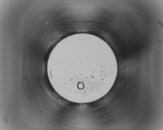 X0000103950362200809191216