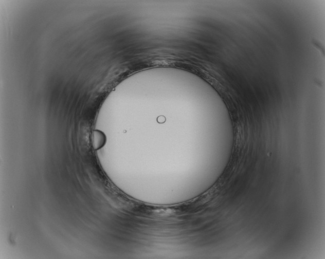 X0000103950363200809191216