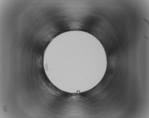 X0000103950364200809191216