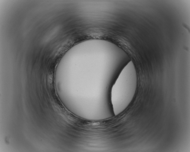 X0000103950365200809191216