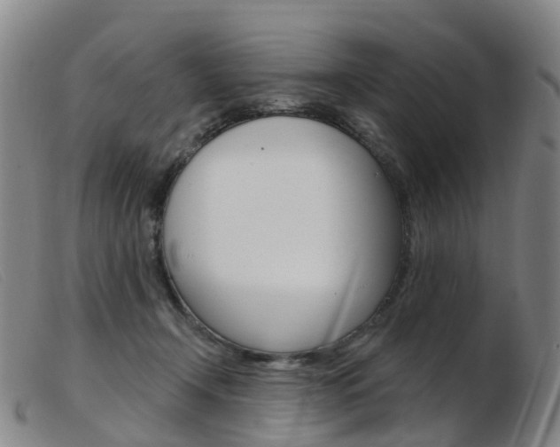 X0000103950366200809191216