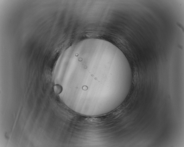 X0000103950367200809191216