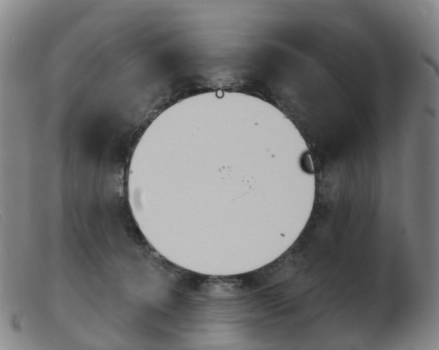X0000103950368200809191216