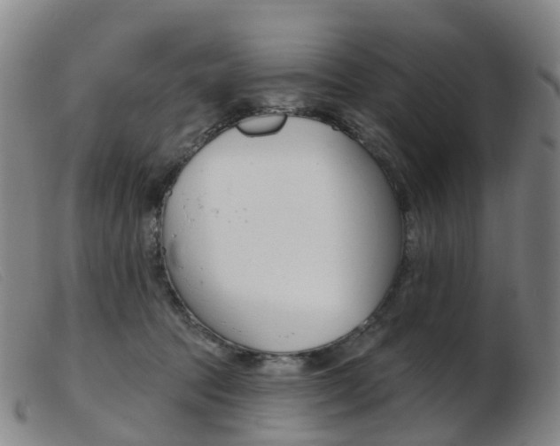 X0000103950369200809191216