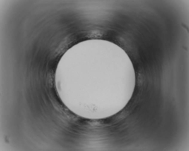 X0000103950370200809191216