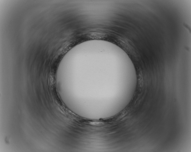 X0000103950371200809191216