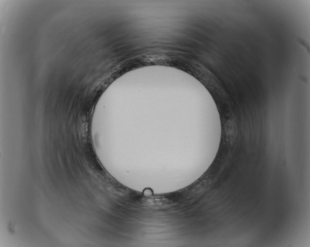 X0000103950372200809191216