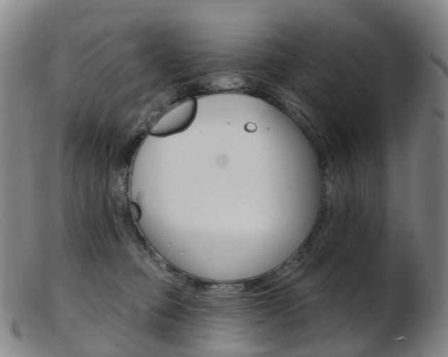 X0000103950373200809191216