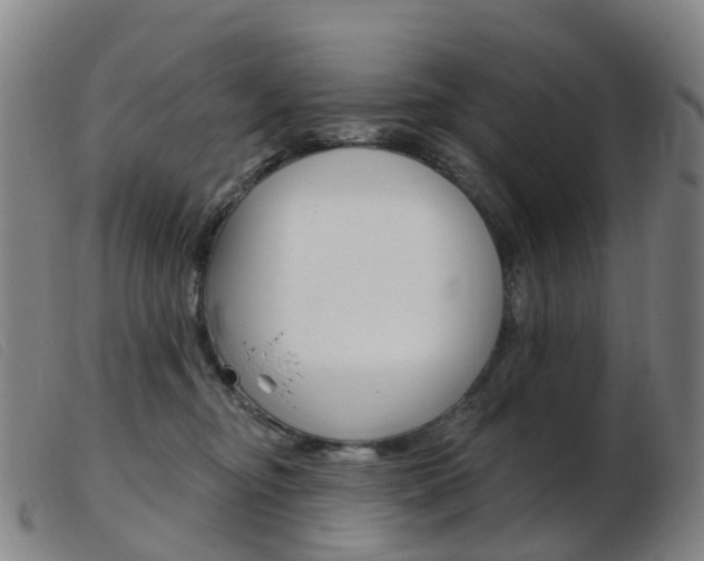 X0000103950374200809191216