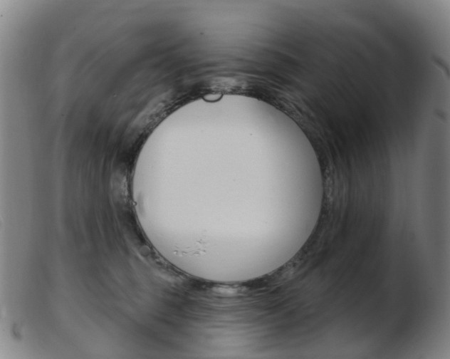 X0000103950375200809191216