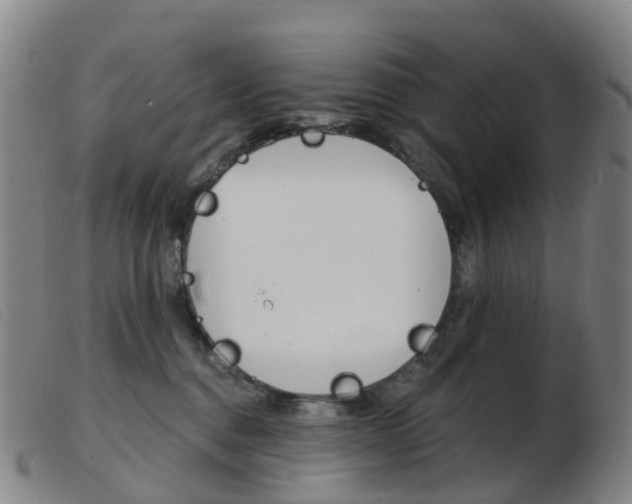 X0000103950376200809191216