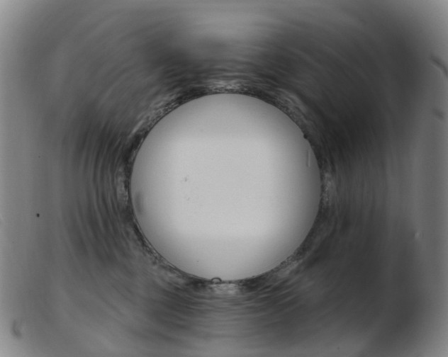 X0000103950377200809191216