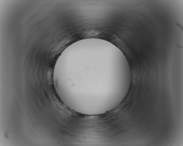 X0000103950378200809191216