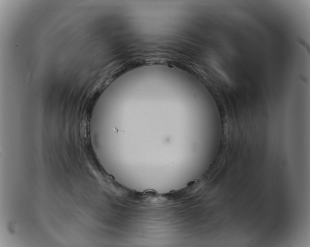 X0000103950379200809191216