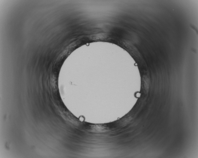 X0000103950380200809191216