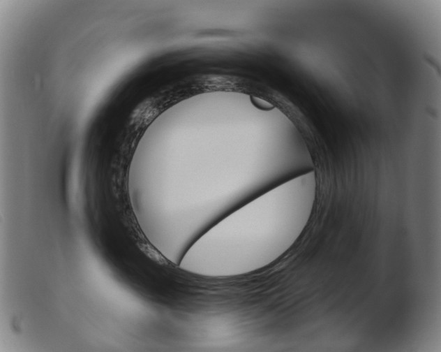 X0000103950381200809191216