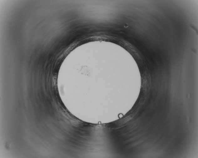 X0000103950382200809191216