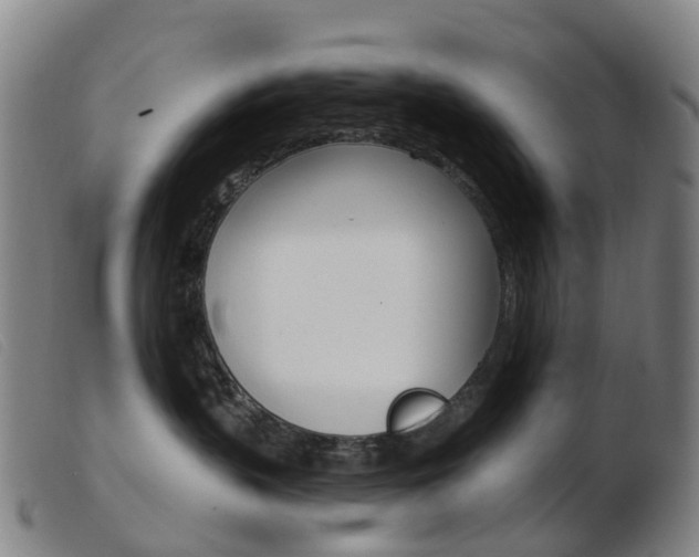X0000103950383200809191216