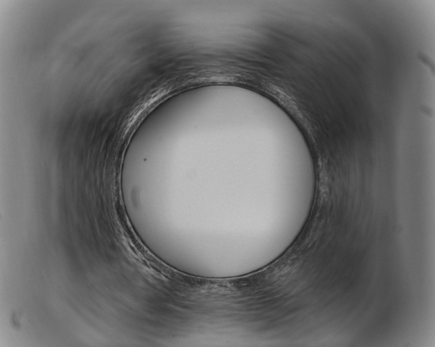 X0000103950386200809191216