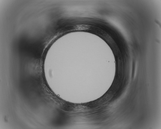 X0000103950387200809191216