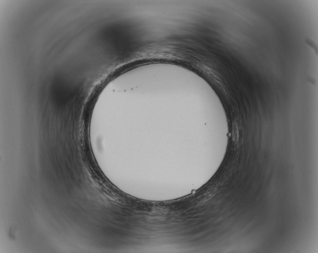 X0000103950388200809191215