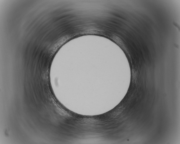 X0000103950389200809191215
