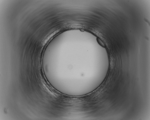X0000103950390200809191215