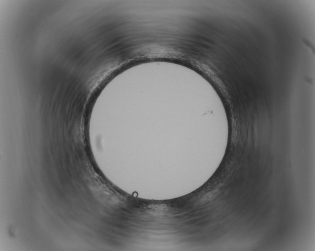 X0000103950391200809191215