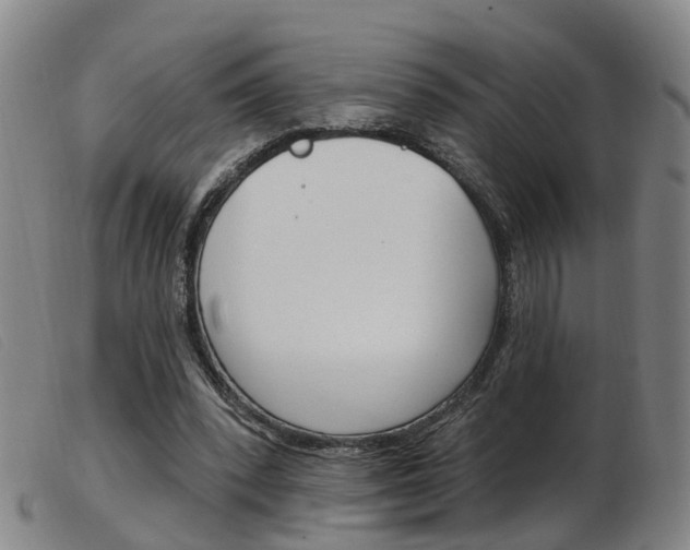 X0000103950392200809191215