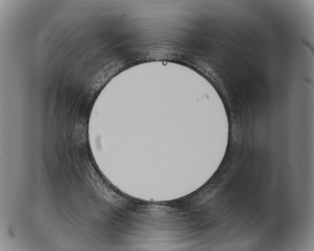 X0000103950393200809191215