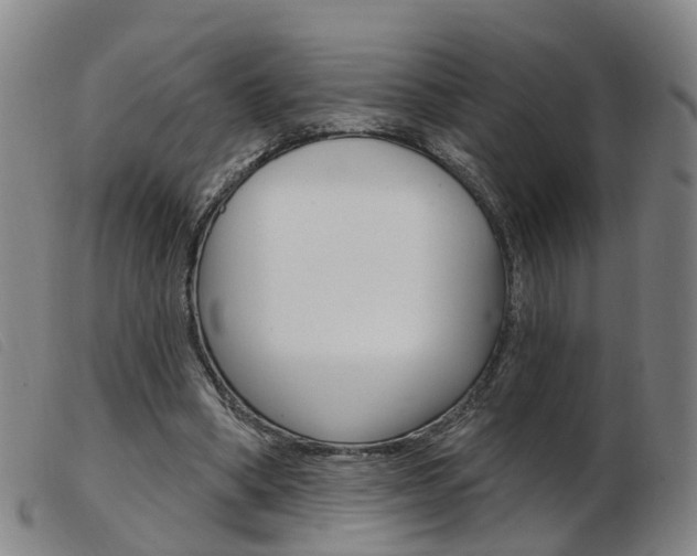 X0000103950394200809191215