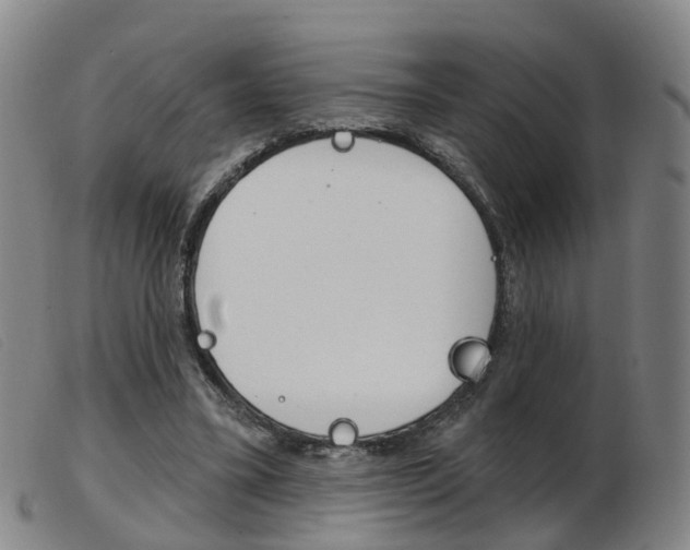 X0000103950395200809191215