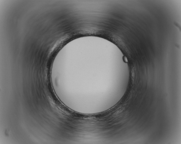 X0000103950396200809191215