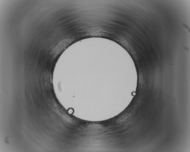X0000103950397200809191215