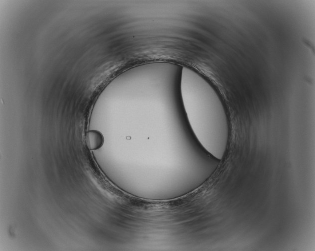 X0000103950398200809191215