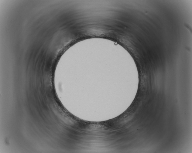 X0000103950399200809191215
