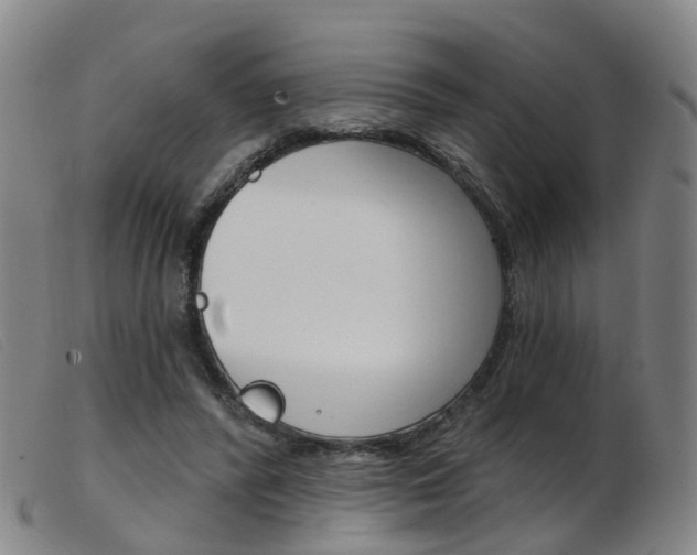 X0000103950400200809191215