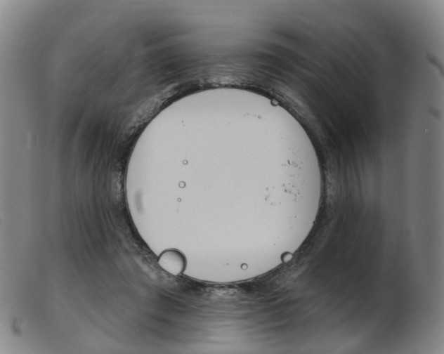 X0000103950401200809191215