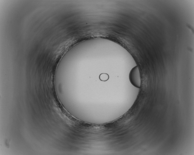 X0000103950402200809191215