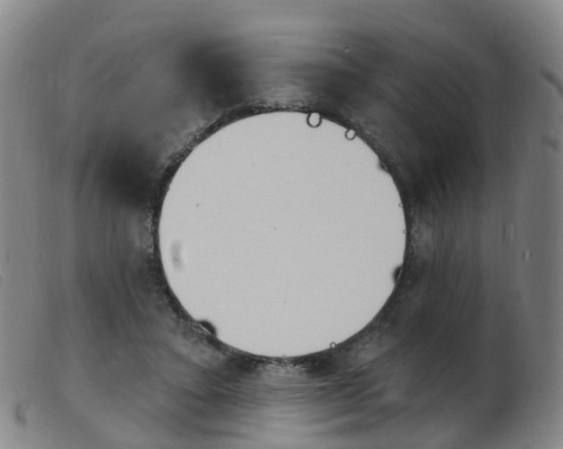 X0000103950403200809191215