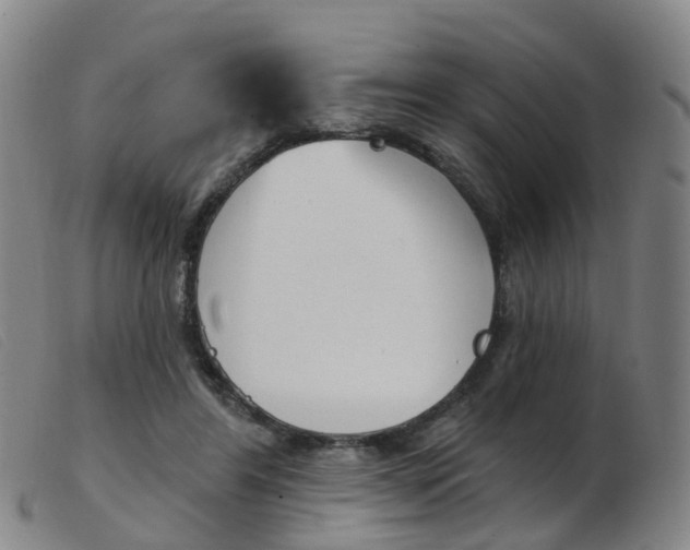 X0000103950404200809191215