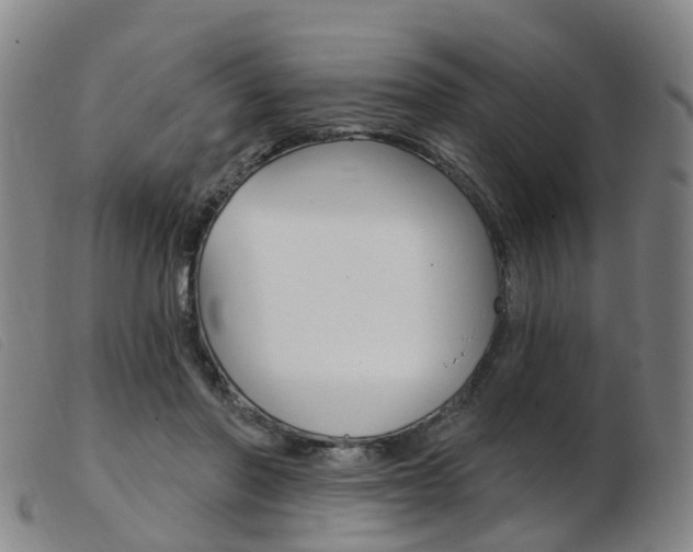 X0000103950406200809191215