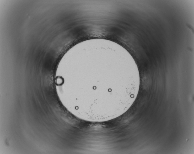 X0000103950407200809191215